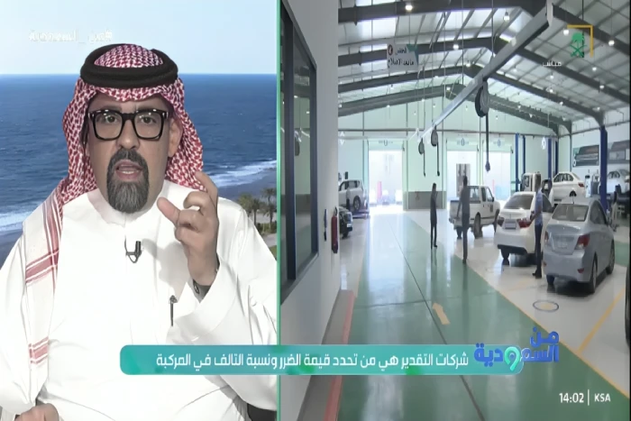 بالفيديو.. مستشار