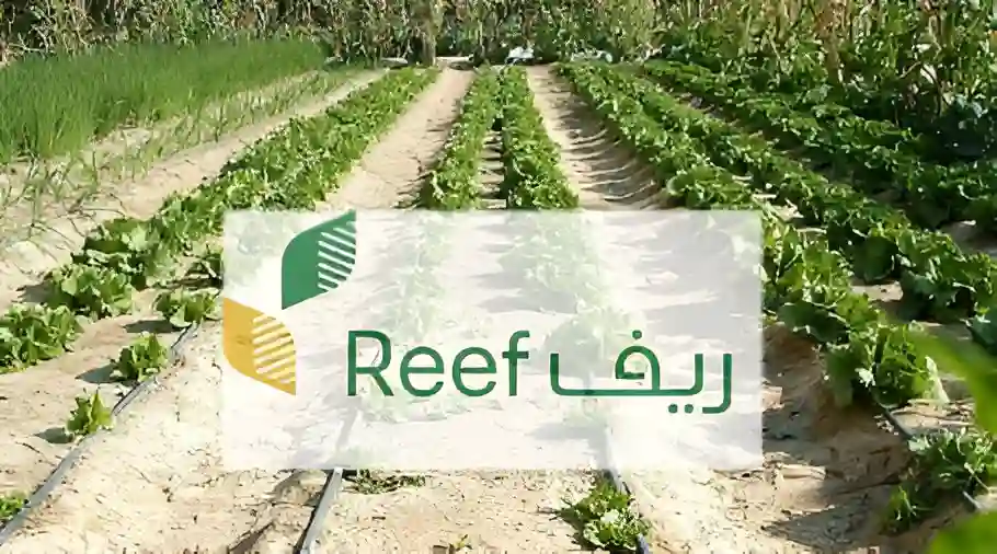 السعودية تدعم قطاع البن بقوة