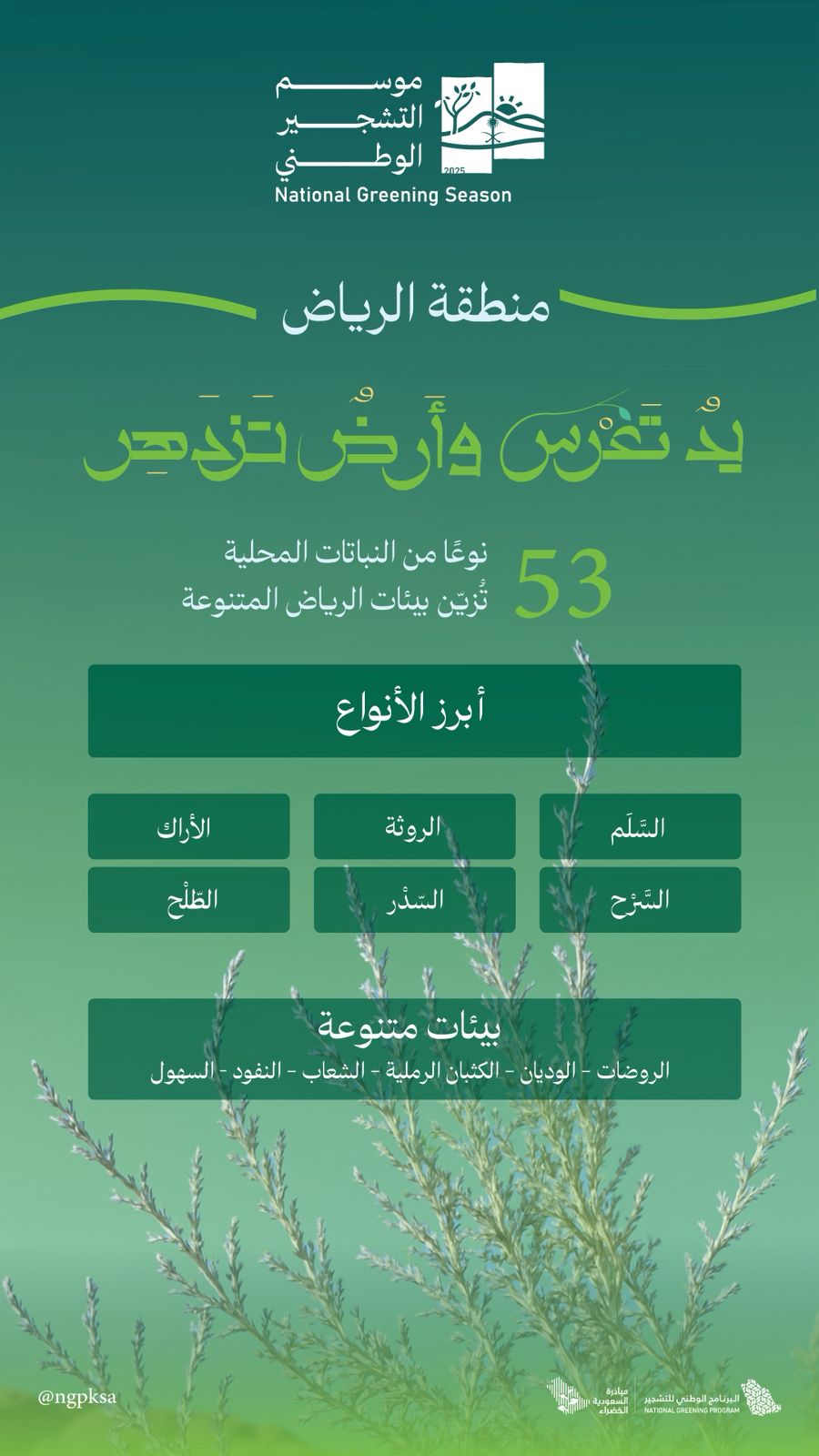 البرنامج الوطني للتشجير: الطلح والسدر والسَّلَم تتصدر النباتات المحلية الملائمة لتشجير الرياض