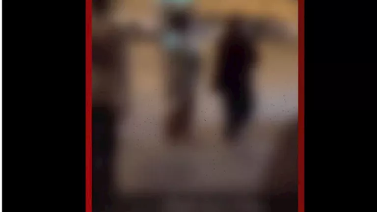 القبض على مقيم سوداني تحرش بامرأتين في السعودية (فيديو)