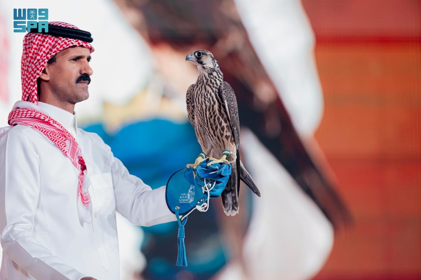 بيع شاهين فرخ في الليلة الـ 22 لمزاد نادي الصقور السعودي 2025