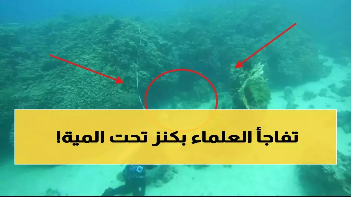 تاريخي: اكتشاف مرجان عمره 800 عام في السعودية - كنز طبيعي يُذهل العلماء ويُغير خريطة السياحة!