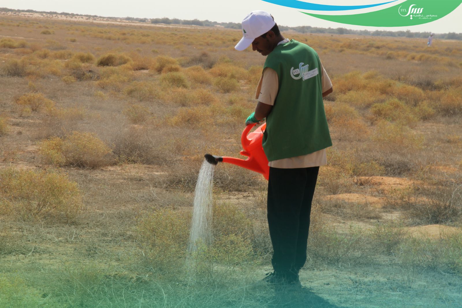 "جمعية سيل" تسقي 120 مليون لتر ماء لدعم الاستدامة البيئية بالرياض