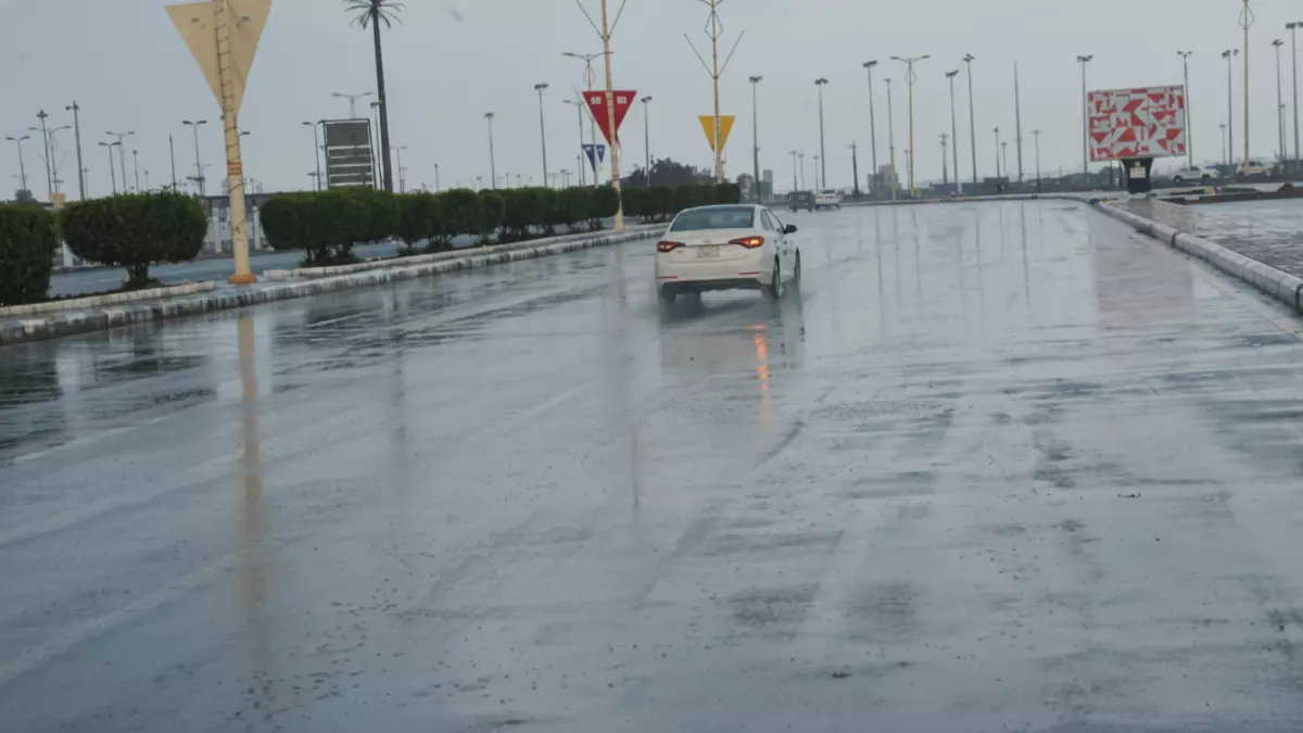 عاجل: الحصيني يحذر من موجة البرد القطبية الرابعة… 7 مناطق تغرق بالأمطار ودرجات تحت الصفر خلال 72 ساعة!