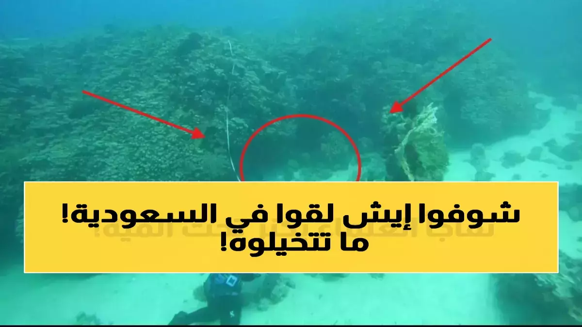 عاجل: السعودية تكشف كنزاً عمره 800 عام في البحر الأحمر - عملاق مرجاني يعيد كتابة تاريخ السياحة العالمية!