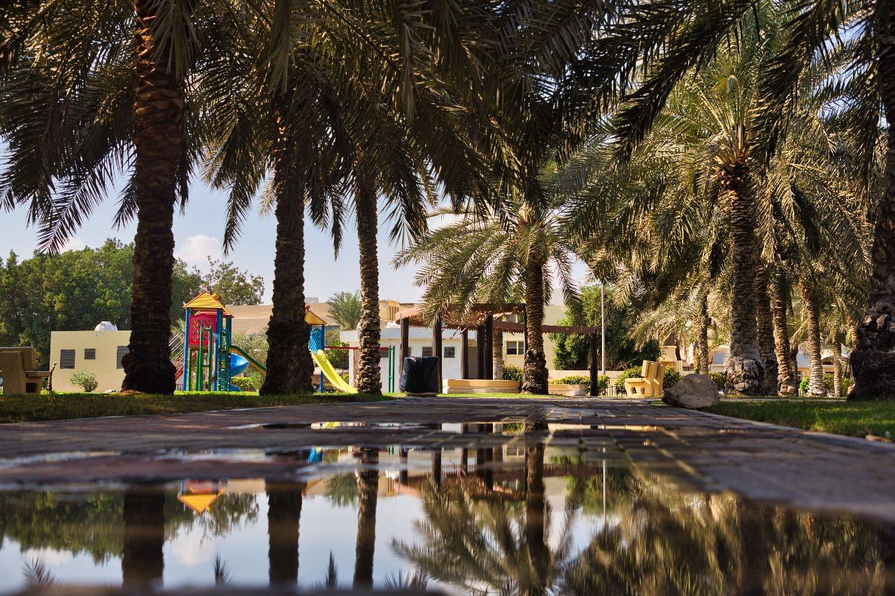 أمطار الشرقية تجذب الأهالي للواجهات البحرية والحدائق والتخييم