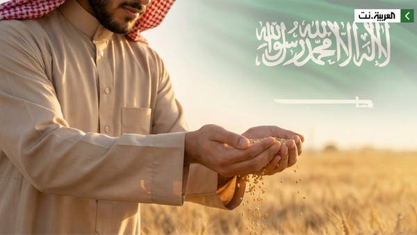 السعودية.. الاكتفاء الذاتي الغذائي يتجاوز 100% لعدد من المنتجات