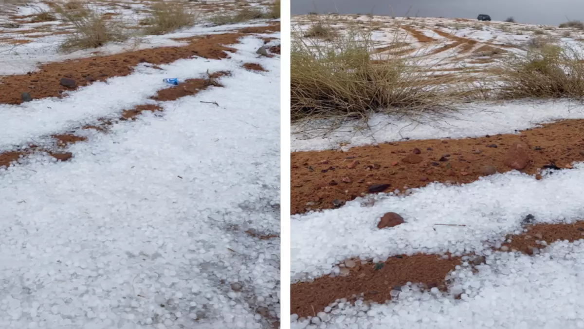 شاهد: النفود تتحول لقطعة من الجنة... البرد يرسم لوحة بيضاء ساحرة شمال حائل!
