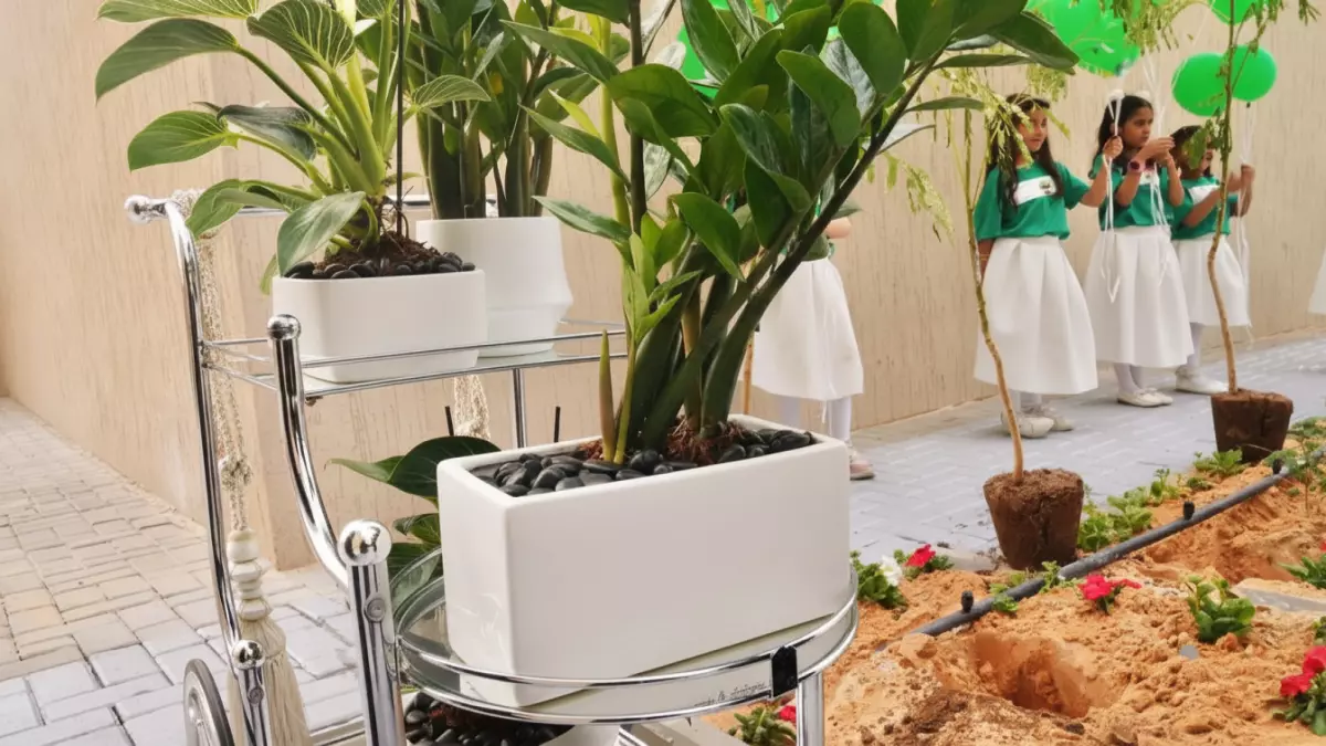 عاجل: السعودية تدشن أول أشجار ذكية في العالم تراقب نفسها وترسل تقارير يومية - 25 ألف مدرسة ستتحول لغابات تفكر!